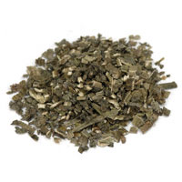 Wood Betony 1 Oz. (Stachys officinalis)